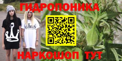 прущие грибы Ярцево